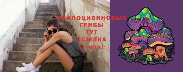 ALPHA-PVP Яранск