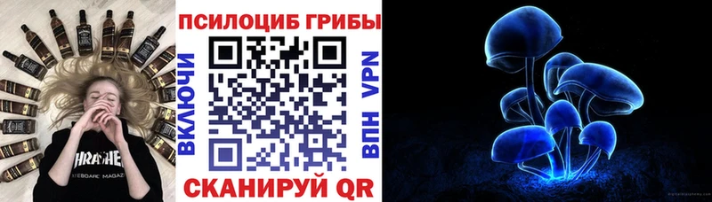 Галлюциногенные грибы MAGIC MUSHROOMS  Купить закладки  Струнино 